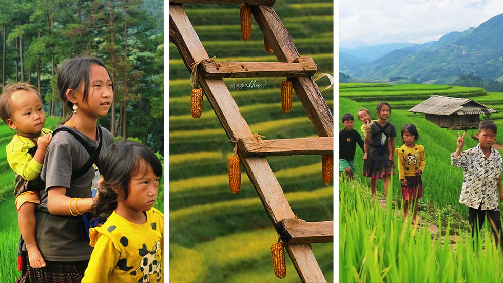 Mu Cang Chai