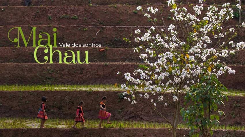 Mai Chau