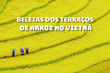 Os 6 campos de arroz em terraços mais impressionantes do Vietnã