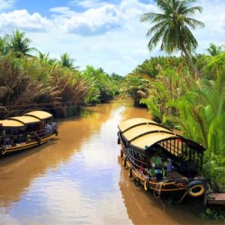 Cruzeiro Mango Ben Tre | 1 dia