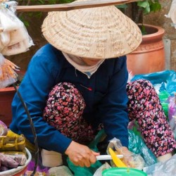 Excursão gastronômica em Hanói