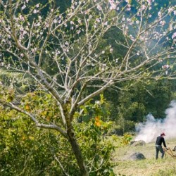 Excursão a Ha Giang 4 dias