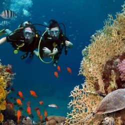 Mergulho com snorkel em Phu Quoc