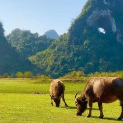 Excursão a Cao Bang 3 dias