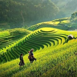 Bac Ha - Sapa