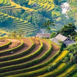 Excursão a Hoang Su Phi 3 dias