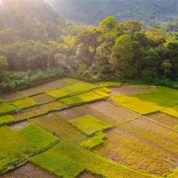 Caminhada à Pu Luong 5 dias 