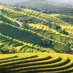 Viagem 4 dia em Hoang Su Phi