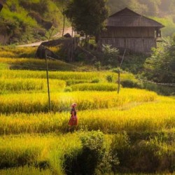 Caminhada em Hoang Su Phi 4 dias