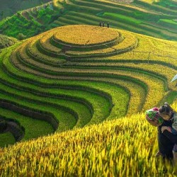 Excursão a Mu Cang Chai