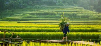 Trekking Mai Chau - Pu Luong 9 dias
