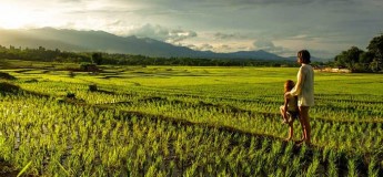 Descoberta em Khao Sok 3 dias