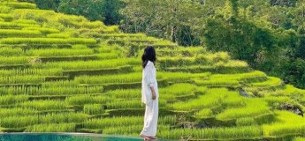 Trekking na Reserva natural Pu Luong 6 dias