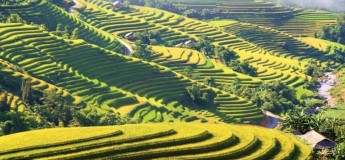 Viagem 4 dia em Hoang Su Phi