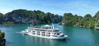 Cruzeiro Paradise Grand | 2 dias | Inverno