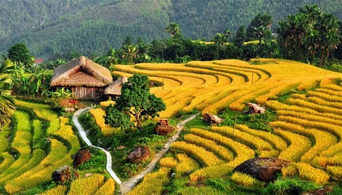 Hoang-su-phi