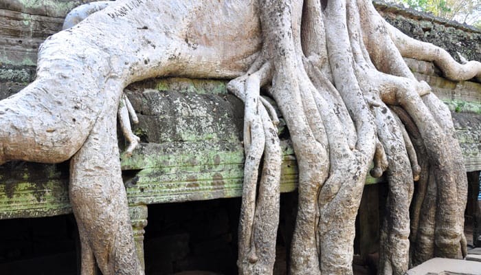 Angkor-Wat