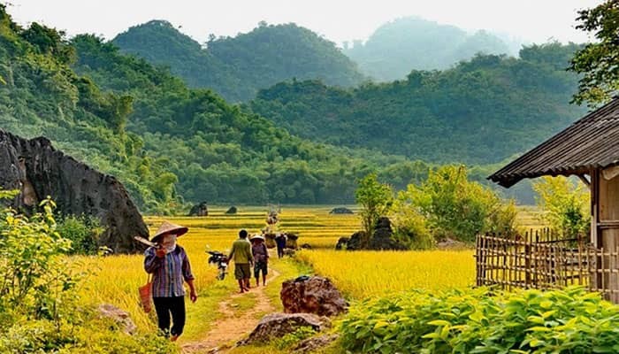 Mai Chau