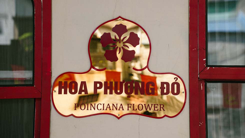 Hoa phuong do